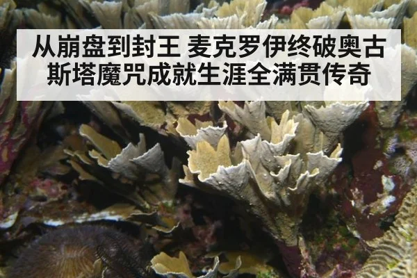 从崩盘到封王 麦克罗伊终破奥古斯塔魔咒成就生涯全满贯传奇